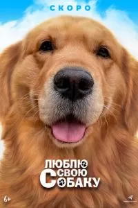   Мой пёс Руни (2023)