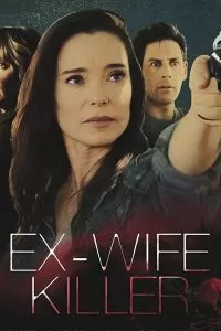 Свидетель (2017)