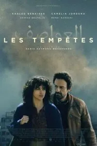   Тихие бури (2024)